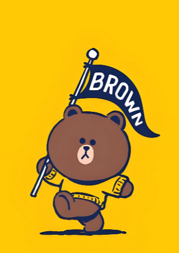 Line网页版注册后如何设置安全验证？